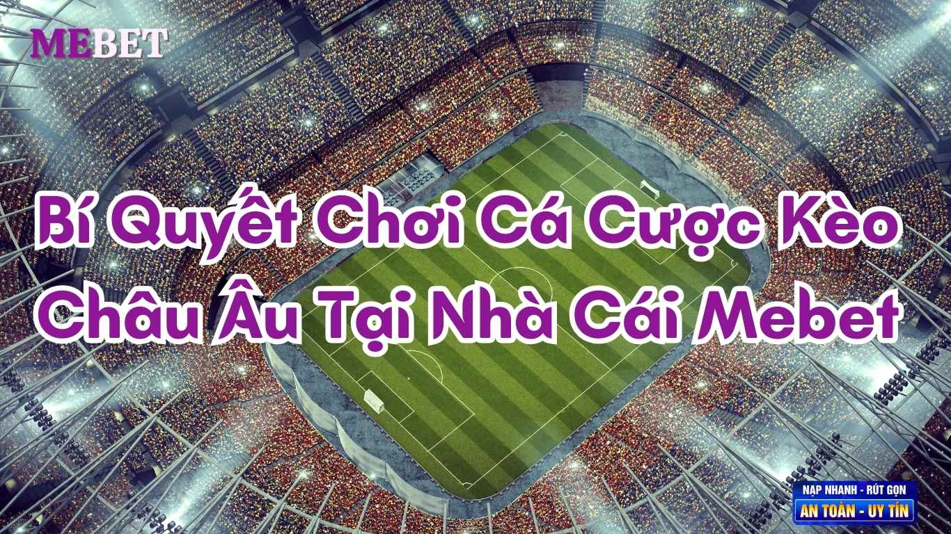 Bí Quyết Chơi Cá Cược Kèo Châu Âu Tại Nhà Cái Mebet Bí Quyết Chơi Cá Cược Kèo Châu Âu Tại Nhà Cái Mebet