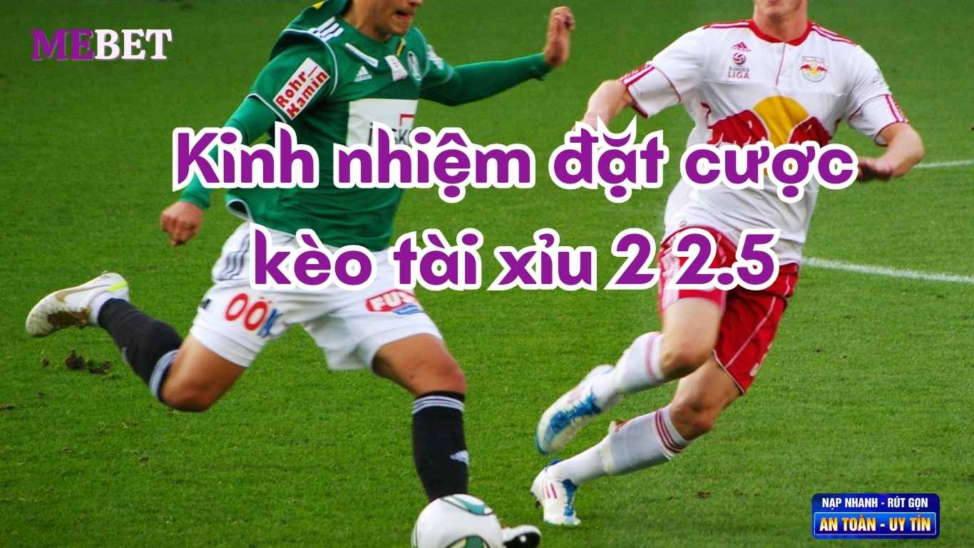 Kinh nhiệm đặt cược kèo tài xỉu 2 2.5 là gì? Kinh nhiệm đặt cược kèo tài xỉu 2 2.5 là gì?